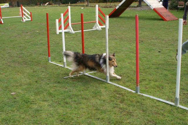 agility 2011-10-30